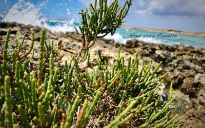 Sono salata ma mantengo la pressione arteriosa sotto controllo